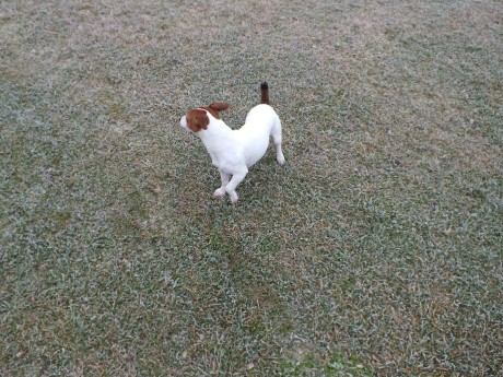 007 - další host (letecký pohled)