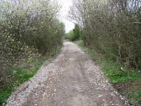 08 - ...a vypadá dobře.JPG